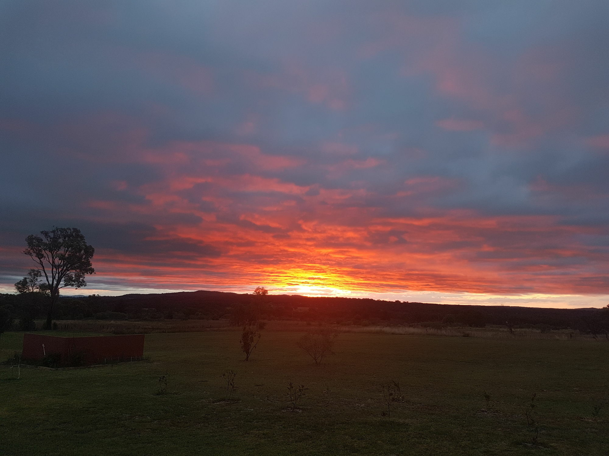 Grovely House Bed & Breakfast Stanthorpe Exterior photo