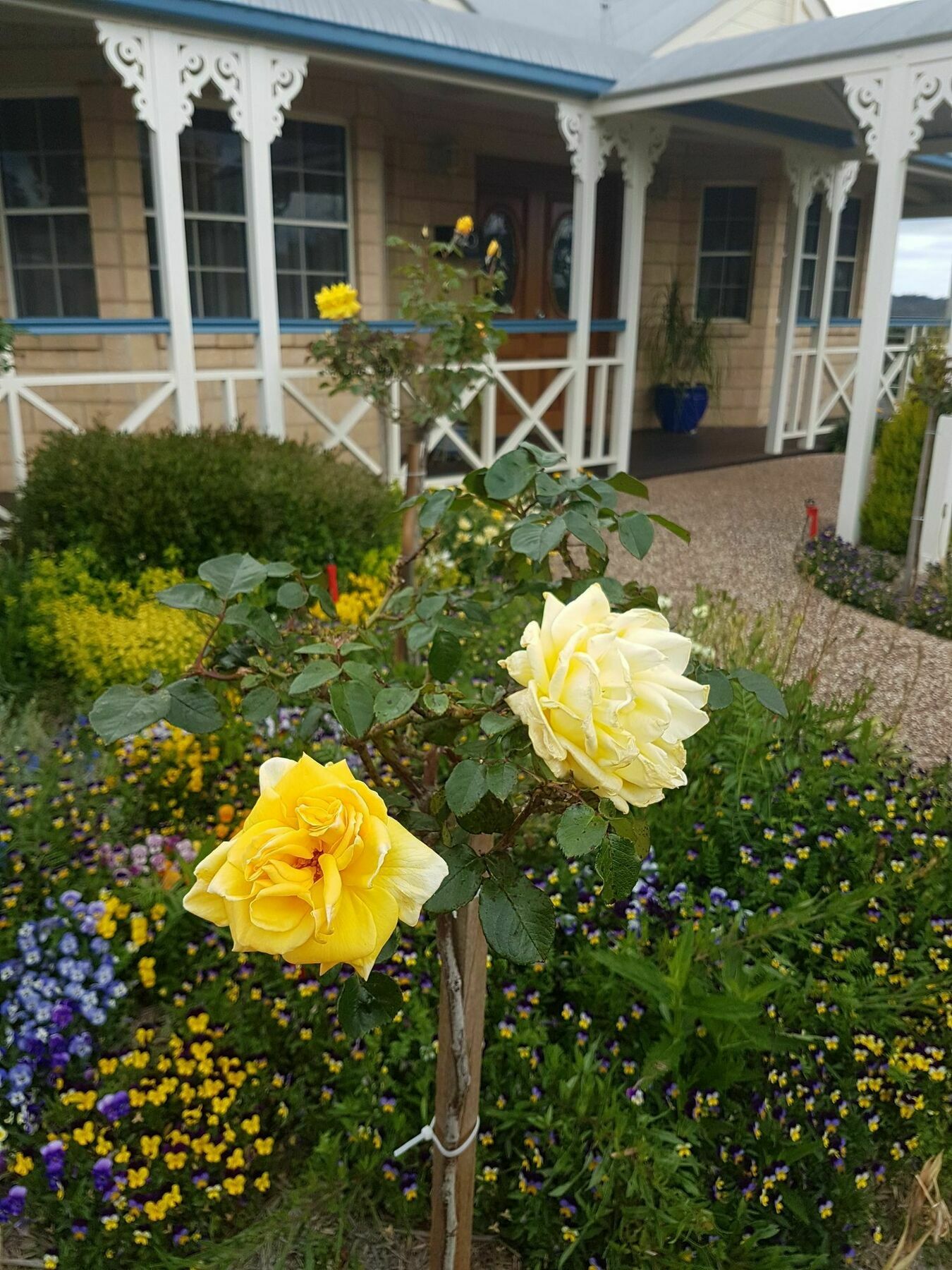 Grovely House Bed & Breakfast Stanthorpe Exterior photo